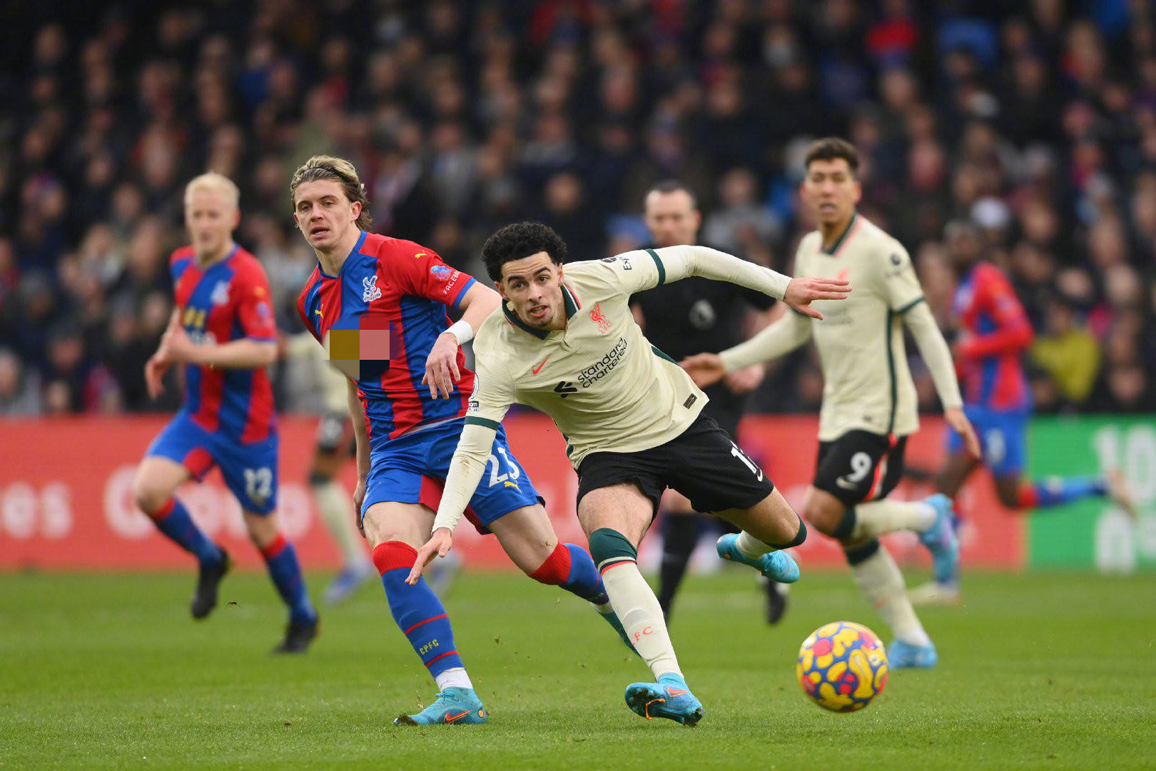 也可能对最 也可能对最